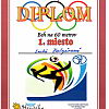 2012-06-12-olimpiai-nap-nagykurtos-65