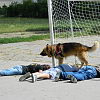 2012-06-26-kutyas-bemutato-102