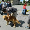 2012-06-26-kutyas-bemutato-109