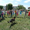 2012-06-26-kutyas-bemutato-118