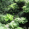 2010-05-13-malonya-arboretum-58
