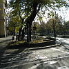 2011-11-08-jaszbereny-78