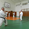 2011-06-27-karate-bemutato-29