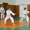 2011-06-27-karate-bemutato-31