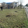 2012-03-23-tavaszi-nagytakaritas-2