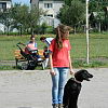 2012-06-26-kutyas-bemutato-79