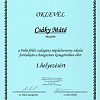 2013-05-24-palocfoldi-csalogany-ipolybalog-30