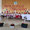 2023-05-24-palocfoldi-csalogany-1
