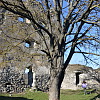 2025-03-18-pannonhalmi-gimnazium-kirandulas-115
