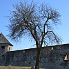2025-03-18-pannonhalmi-gimnazium-kirandulas-63