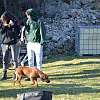 2025-03-18-pannonhalmi-gimnazium-kirandulas-88