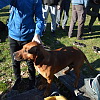 2025-03-18-pannonhalmi-gimnazium-kirandulas-91