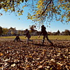 2025-10-20-ebedszunet-az-avarban-9