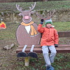 2025-12-01-dream-woods-karacsonyi-falu-86