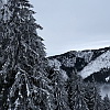 2026-01-11-16-situra-101