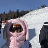 2026-01-11-16-situra-17
