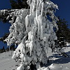 2026-01-11-16-situra-38