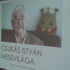 2026-03-02-csukas-istvan-mesevilaga-4