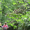 2010-05-13-malonya-arboretum-143