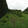2010-05-13-malonya-arboretum-149