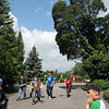 2010-05-13-malonya-arboretum-245