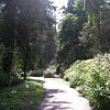 2010-05-13-malonya-arboretum-294